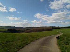 Berghausen Natur