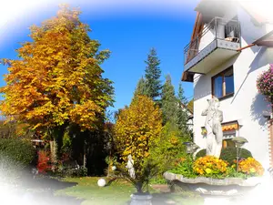 Ausblick vom Garten zum Südbalkon