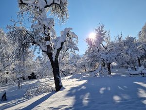 Winterlandschaft