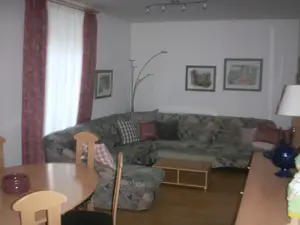 Das Wohnzimmer mit genügend Raum für Ihre Wünsche.