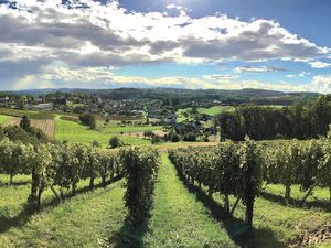 Ausblick Landhaus