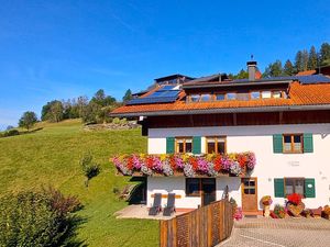 Liegewiese und Terrasse