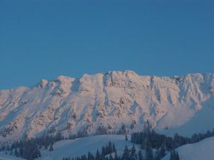 Ausblick von allen Wohnungen