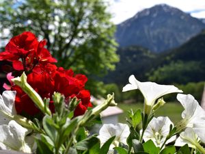 Bergblick - Balkon Gästehaus Eberhart