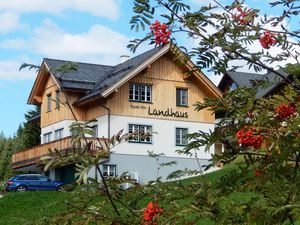 Knoedl-Alm-Landhaus-Urlaub-in-Bad-Mitterndorf