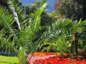 Kurpark Kurpark
