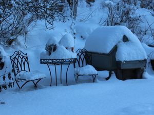 Garten im Winter