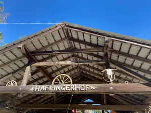 Haflingerhof Luef Haflingerhof Luef