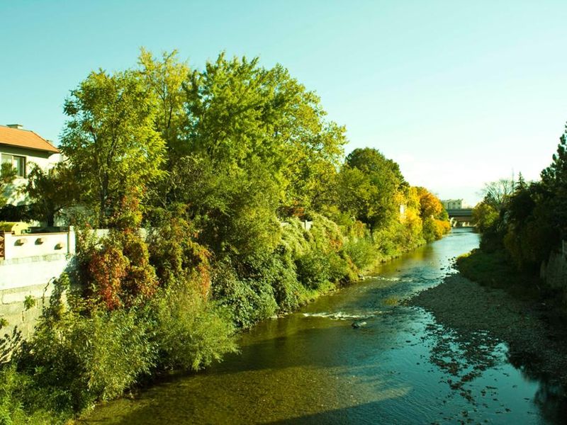 Fluss Schwechat