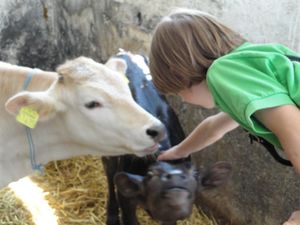 Ferienhof Almfrieden - Urlaub auf dem Bauernhof