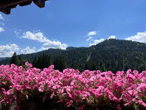 Aussicht Aussicht
