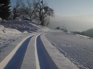 Winterspur