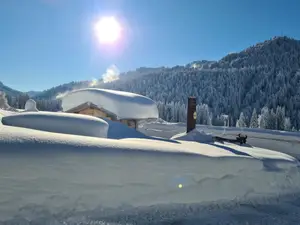 Winterwunderland Winterwunderland