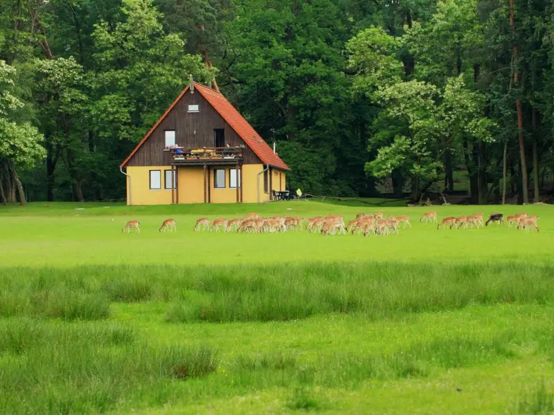 Ferienhaus 1 Ferienhaus 1