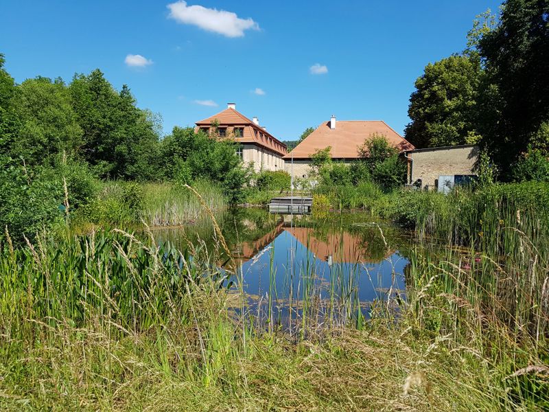 Propstei Wechterswinkel_Schwimmteich