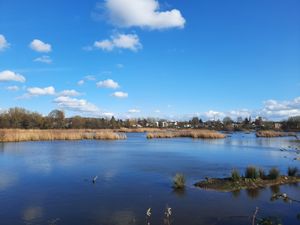 Ökosee Dillingen