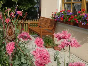 garten-vorm_haus garten-vorm_haus