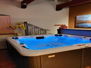 Wellness