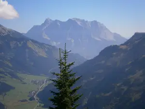 Ausblick Ausblick