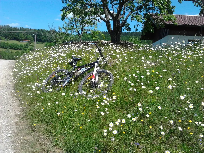 Biken - Umgebung