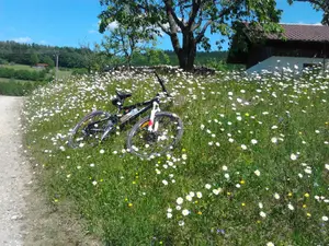 Biken - Umgebung
