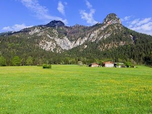 Our farm in the middle of meadows and fields