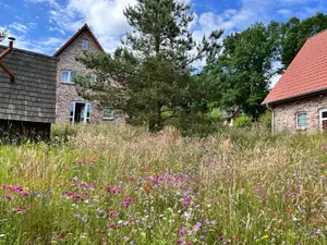 Frühling im Heidezauber