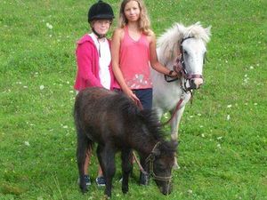 Ponys zum Reiten