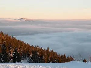 winter winter