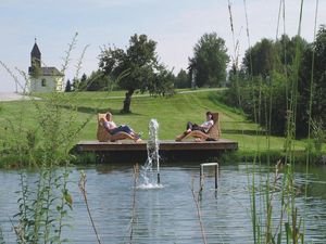 Gartenteich