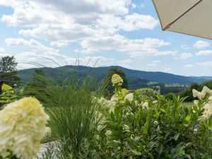 Garten Garten