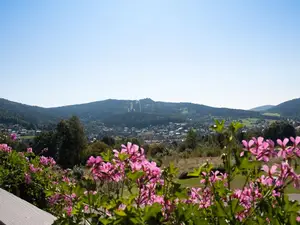 Ausblick Ausblick
