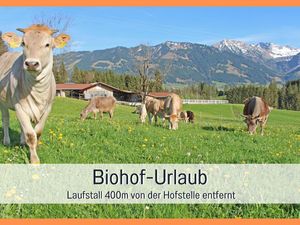 Biohof Burger Urlaub auf dem Biohof