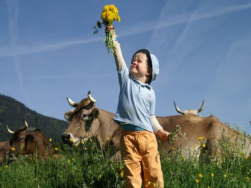 Sommertag