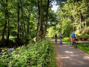 Fichtelnaab-Radweg bei Lochau Neusorg © Steinwald-Allianz.jpg