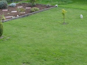 Garten mit Liegewiese und Grillmöglichkeit