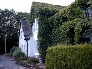 Ferienwohnung Antje