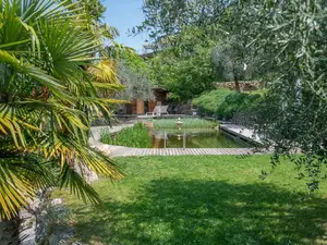 Der großzügige Garten mit Olivenbäumen, Palmen und Lavendel