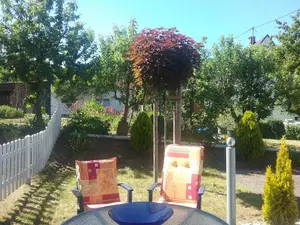 Terasse vorm Haus Terasse vorm Haus
