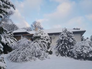 Ferienhaus Birkhuhn