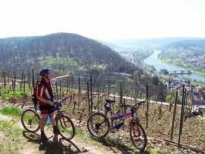 Mountainbiketour nach Klingenberg