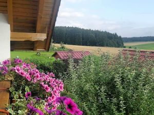 Blick vom Balkon