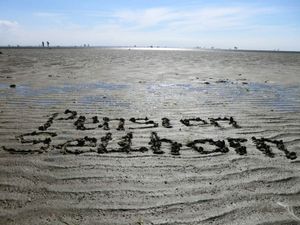 Weltnaturerbe Wattenmeer