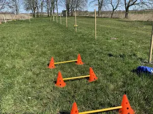 Hundeauslauf mit Agilityspielzeug Hundeauslauf mit Agilityspielzeug