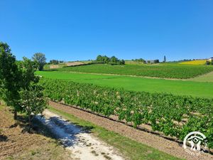 Le Pigeonnier de Vallières - Cahuzac-sur-Vere, Tar