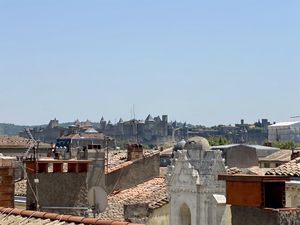 Vue sur la Cité de Carcassonne