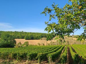 Les Ecureils, réf. G1069 - Cestayrols, Tarn ©Alves