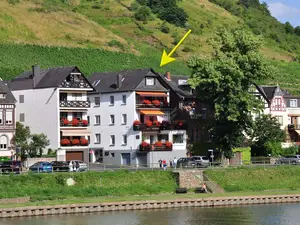 Linde mit Pfeil a Linde mit Pfeil a