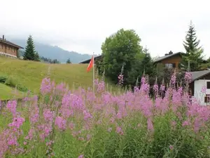 Umgebung Haus Umgebung Haus