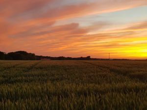 Sonnenuntergang hinter dem Haus